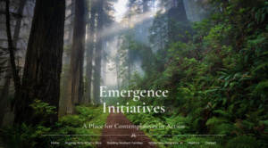 Emergence Initiatives Website Screen Shot